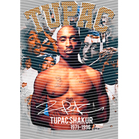 idol singer-GS  1565